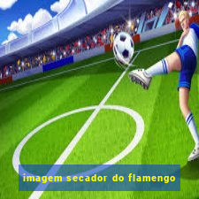 imagem secador do flamengo